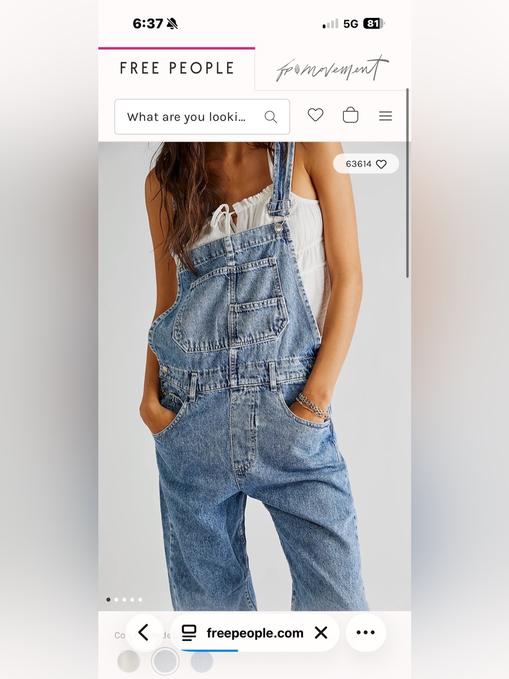 We The Free Ziggy Denim Overalls